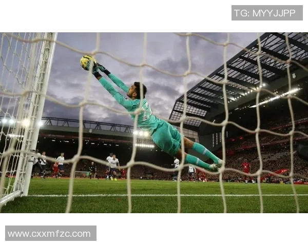 高清足球明星保罗精彩瞬间图片分享让你领略他的风采与魅力